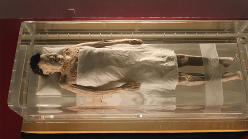 Una mummia ben conservata.